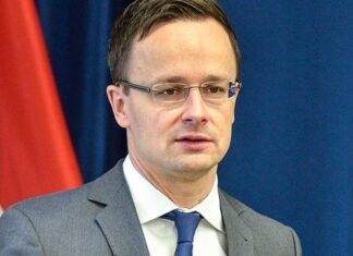 МИД Венгрии вызвал посла Украины из-за «насильственной охоты» за венграми в Закарпатье