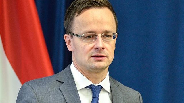 МИД Венгрии вызвал посла Украины из-за «насильственной охоты» за венграми в Закарпатье