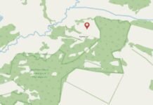 Село-привид: на Чернігівщині є село, де зареєстровані чотири пам’ятки природи, проте не лишилось жодного жителя