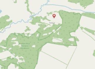 Село-привид: на Чернігівщині є село, де зареєстровані чотири пам’ятки природи, проте не лишилось жодного жителя