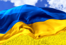 До 50% сократилась доля украинцев, поддерживающих референдум по мирному соглашению, — КМИС