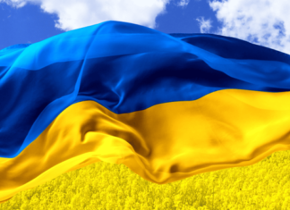 До 50% сократилась доля украинцев, поддерживающих референдум по мирному соглашению, — КМИС