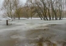 На Чернігівщині очікують весняне водопілля: снігу більше за норму, можливі підтоплення