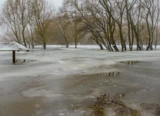 На Чернігівщині очікують весняне водопілля: снігу більше за норму, можливі підтоплення