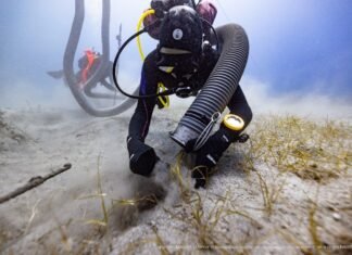 Найдено физическое доказательство: ученые обнаружили фрагмент похищенного из Парфенона мрамора (фото)