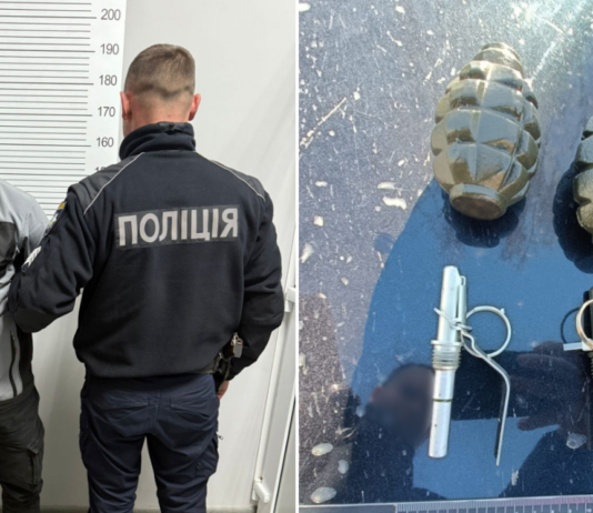 На Чернігівщині чоловік незаконно перевози в автівці дві гранати Ф-1 із запалом