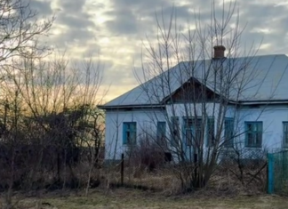 Переселенцы купили дом в селе за $7 тысяч: самое интересное — что внутри (фото)