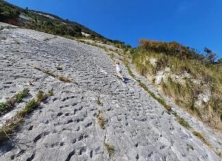 80 млн лет назад нечто оставило 1000 отметин на склоне горы: ученые не знают, что это было