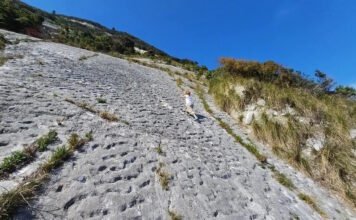 80 млн лет назад нечто оставило 1000 отметин на склоне горы: ученые не знают, что это было