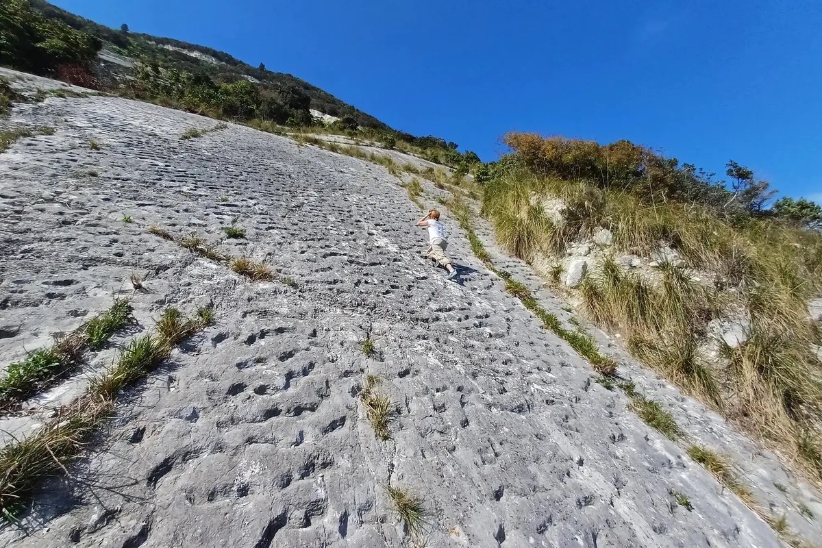 80 млн лет назад нечто оставило 1000 отметин на склоне горы: ученые не знают, что это было