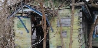 На Чернігівщині село без мешканців має чотири пам’ятки природи