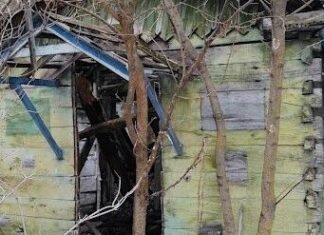 На Чернігівщині село без мешканців має чотири пам’ятки природи