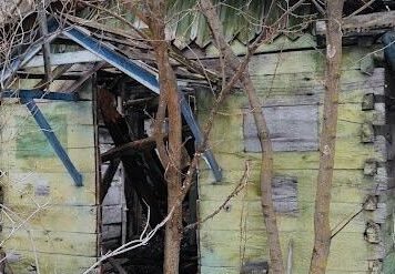 На Чернігівщині село без мешканців має чотири пам’ятки природи