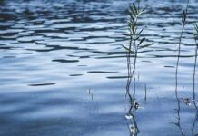 На Чернігівщині у Десні виявили тіло жінки