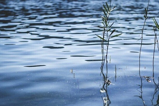 На Чернігівщині у Десні виявили тіло жінки