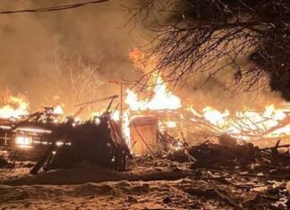 На Чернігівщині внаслідок атаки російський «Гераней» постраждала жінка, з-під завалів дістали кота