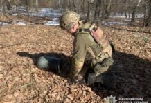 Збитий російський БпЛА впав на відкритій місцевості у Чернігівському районі: його бойова частина не здетонувала