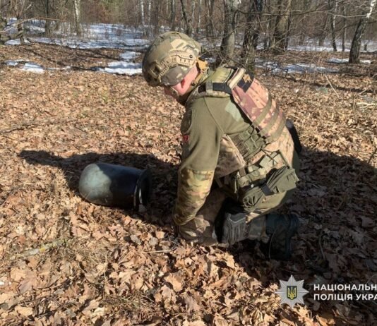 Збитий російський БпЛА впав на відкритій місцевості у Чернігівському районі: його бойова частина не здетонувала