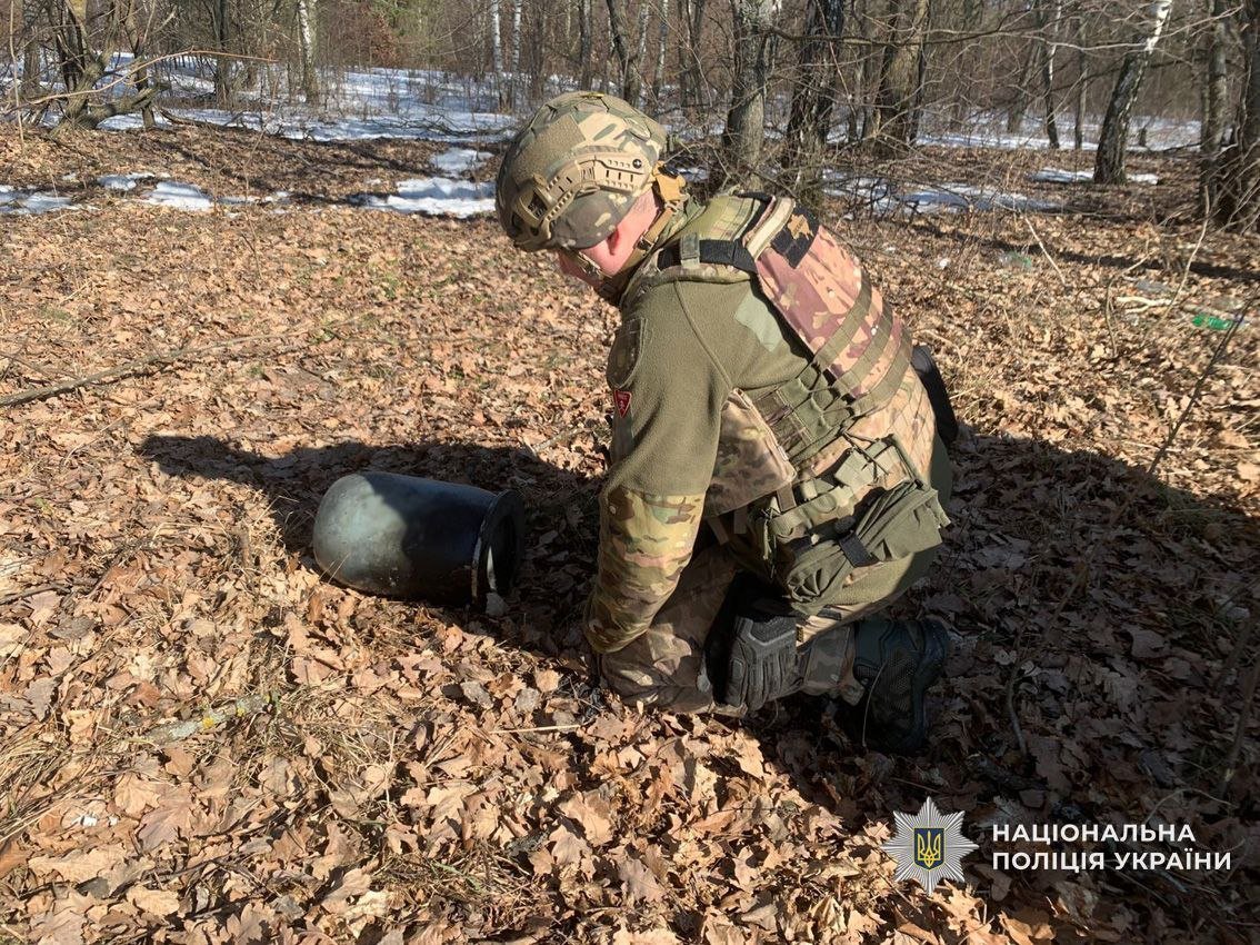 Збитий російський БпЛА впав на відкритій місцевості у Чернігівському районі: його бойова частина не здетонувала
