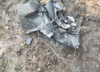 Російські «Герані» вдарили по сільгосппідприємству на Чернігівщині: загинула тварина