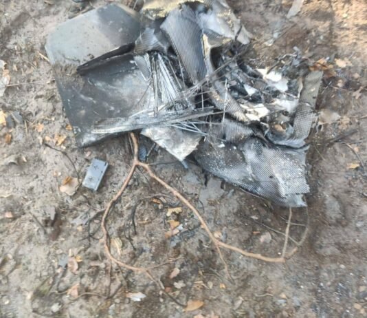 Російські «Герані» вдарили по сільгосппідприємству на Чернігівщині: загинула тварина