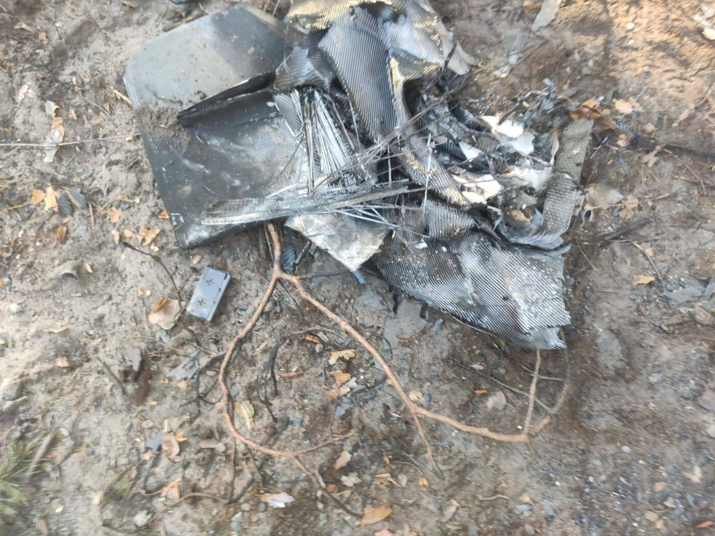 Російські «Герані» вдарили по сільгосппідприємству на Чернігівщині: загинула тварина