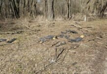 У Чернігові впав безпілотник: обійшлося без жертв