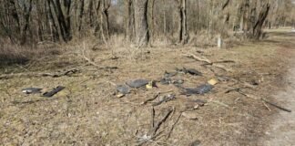 У Чернігові впав безпілотник: обійшлося без жертв