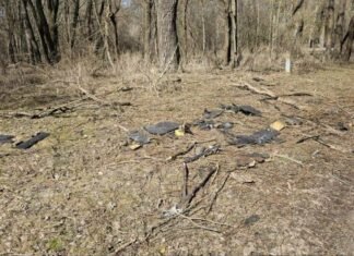 У Чернігові впав безпілотник: обійшлося без жертв