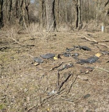 У Чернігові впав безпілотник: обійшлося без жертв