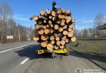 Смертельна ДТП на Чернігівщині: водій Peugeot врізався у трактор із деревиною і загинув