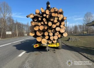Смертельна ДТП на Чернігівщині: водій Peugeot врізався у трактор із деревиною і загинув