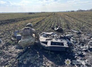 Неподалік населеного пункту у Ніжинському районі знайшли залишки російського БпЛА