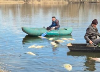 У Мені зафіксовано масову гибель риби (Фото)