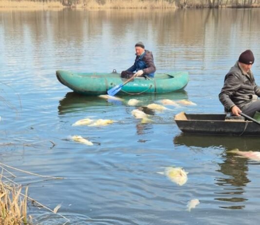 У Мені зафіксовано масову гибель риби (Фото)