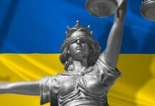 Незаконна вирубка дерев на Чернігівщині: з Укрзалізниці стягнули понад 690 тис грн збитків