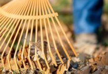 Бібліотека, лікарня, ЖЕК: де в Чернігові порушники відпрацьовуватимуть громадські роботи