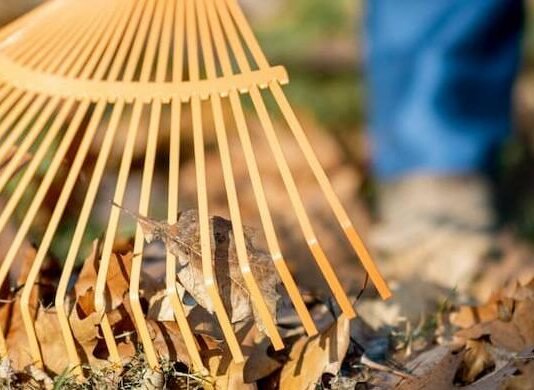 Бібліотека, лікарня, ЖЕК: де в Чернігові порушники відпрацьовуватимуть громадські роботи