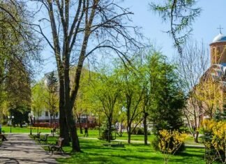 У Чернігові побито температурний рекорд 2021 року: -2,3°С