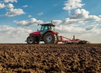 На Чернігівщині триває посівна: що і скільки вже посіяли