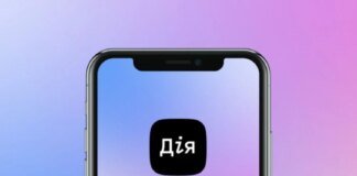 Послуга Ветеранський спорт у Дії знову доступна: як подати заявку за новими правилами