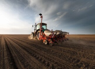 Добрива по 40 тис. і дизель майже по 90 грн: як подорожчала посівна-2026 для фермерів