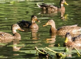 В Україні потепліє до +19: прогноз погоди на 2 квітня