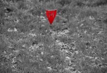 Ділки організували схему розкрадання мільйонів на розмінуванні, двоє отримали підозру — Генпрокурор