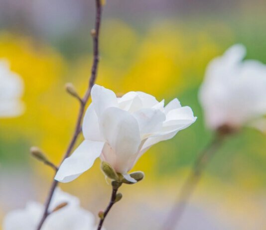 Синоптики прогнозують квітневі грози — циклон принесе теплу погоду з дощами