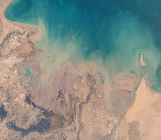 ОАЕ зупинили роботу свого найбільшого газового заводу після атаки Ірану