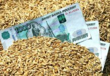 росія різко скорочує фінансування АПК через дефіцит бюджету — розвідка