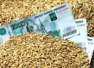 росія різко скорочує фінансування АПК через дефіцит бюджету — розвідка