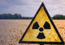 У Чорнобильській зоні більше 5 років незаконно вирощують врожай: прокуратура через суд повертає 190 гектарів