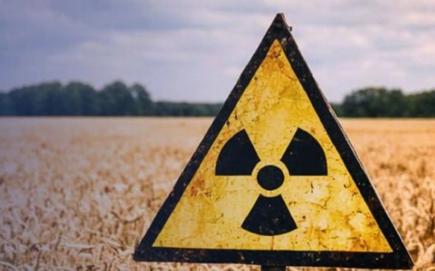 У Чорнобильській зоні більше 5 років незаконно вирощують врожай: прокуратура через суд повертає 190 гектарів